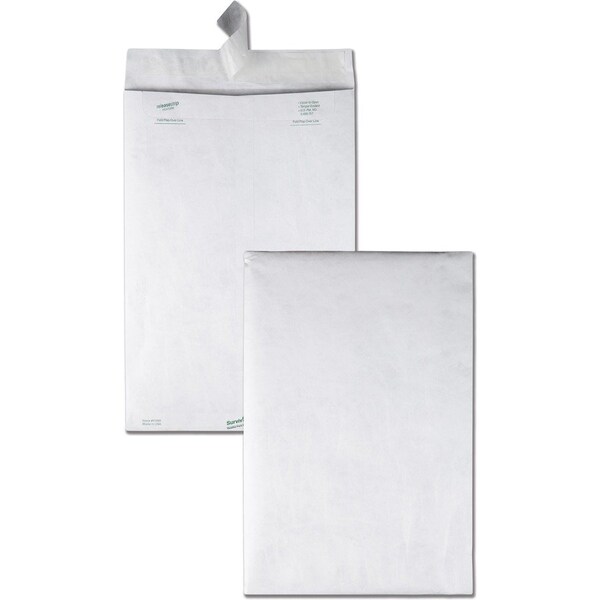 Quality Park Envelope, Catalog, Pln, 10X15 Pk QUAR1660 - main